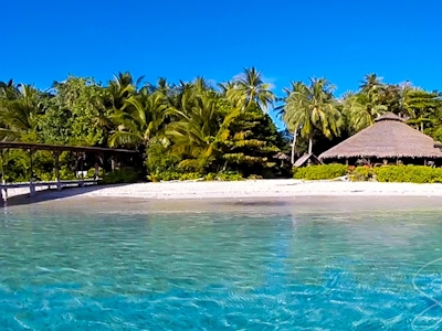 aloita resort mentawai islands