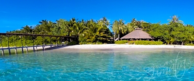 aloita resort mentawai islands
