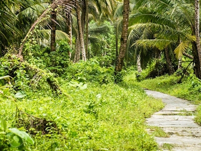 Jungle path to the local beach