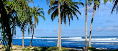 Lances Left, one of the most consistent lefts in Sumatra