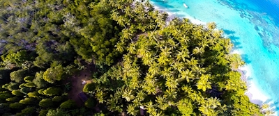 High above the grounds