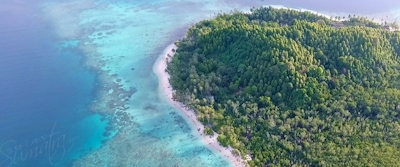 This is pulau silabok the home of villa mentawai