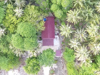 Sozinhos from above