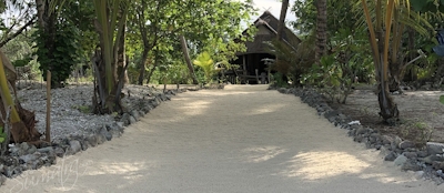 Beach path