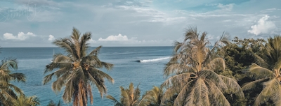 Welcome to the Mentawai Islands