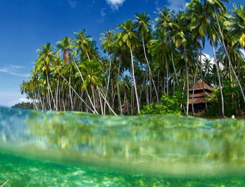 Telos Surfing Village  Surf Camp