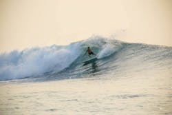 Tikus  surf break Sumatra