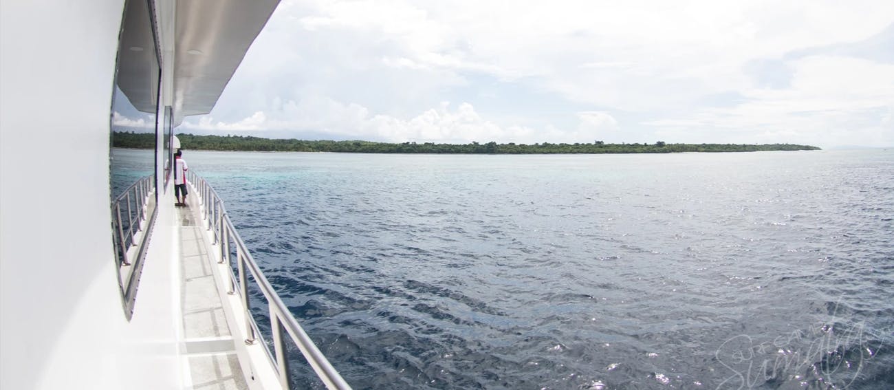 Sola Gracia surf charter