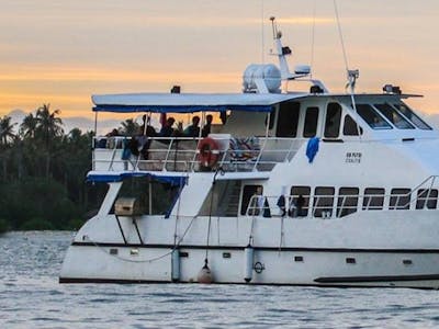 Built in Australia in 95 and refurbished in 2007 specifically for surf charters