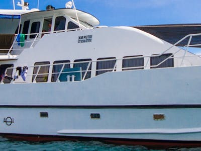 The King Millenium 2 surf charter