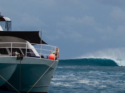 Experienced surf guides