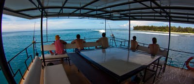 Top deck surf check 