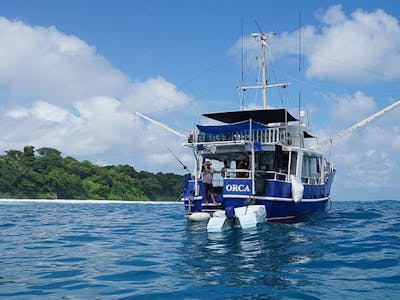 Experienced crew including Western skipper/surf guide