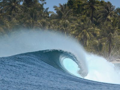 11 nights and 10 days surfing for each trip