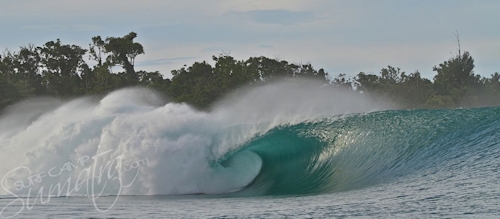 Big Bush Mentawai Islands