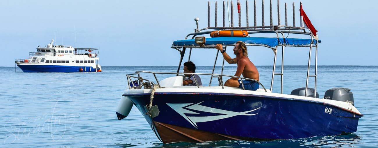 surfing charter boat