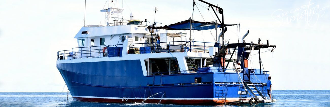 charter mentawai